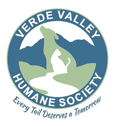 VVHS